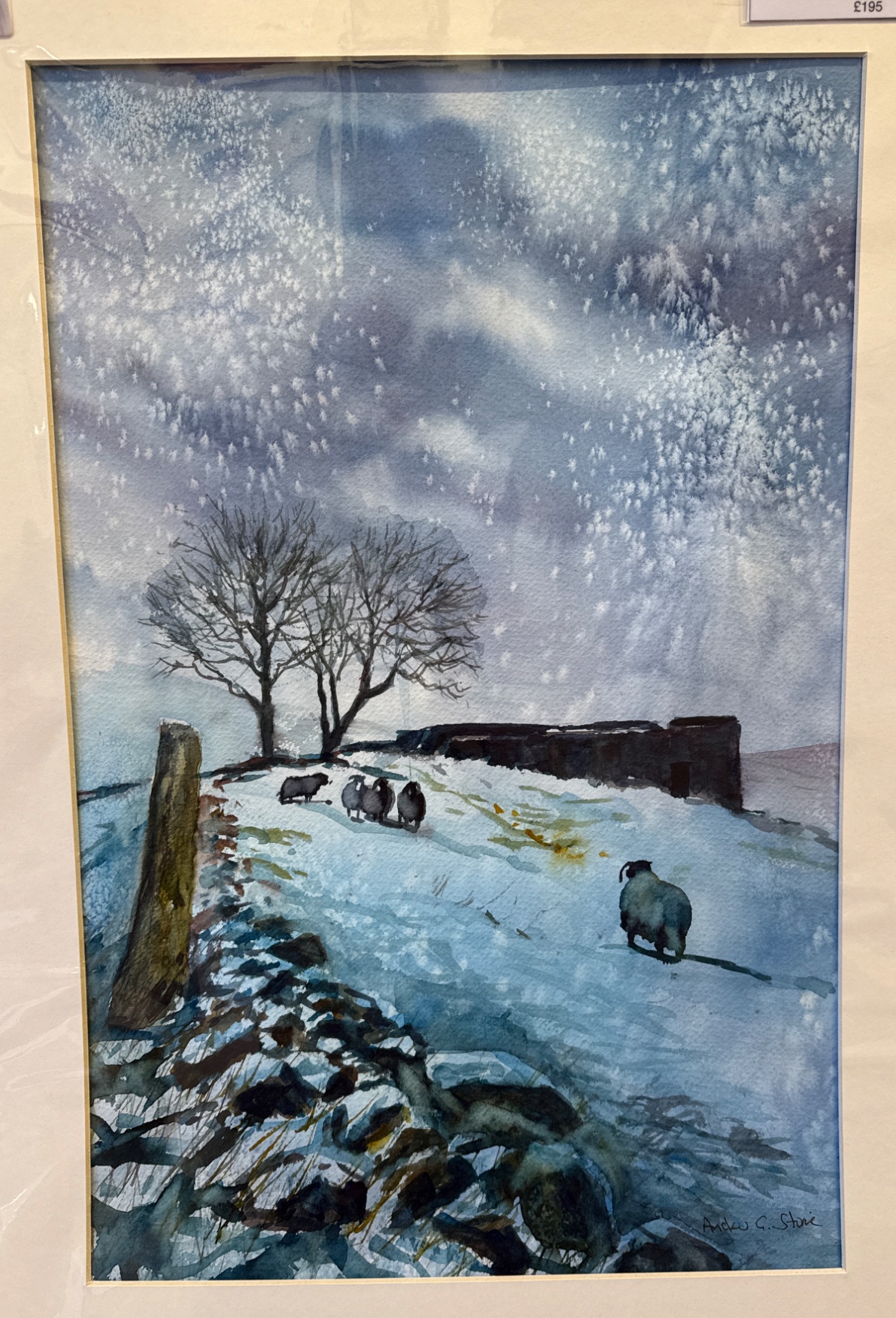 Bleak at Top Withens by Andrew Storrie
