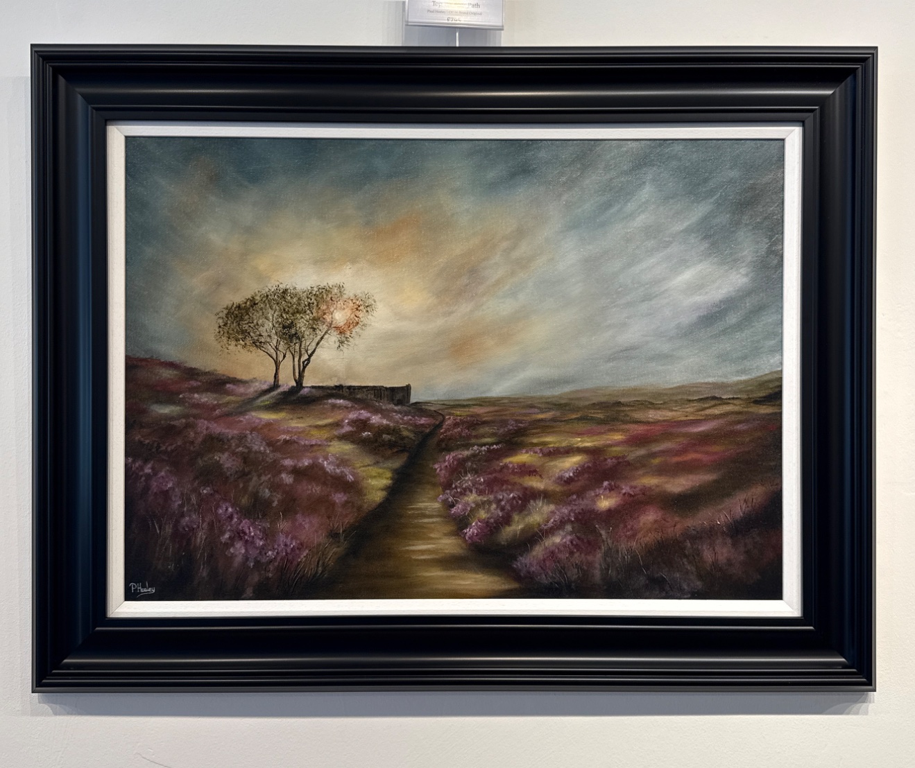 Top Withens Path by Paul Heeley